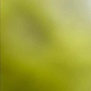 Meet your Posher, Lorraine